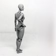 003.jpg Lady Figure the 3D printed female action figure