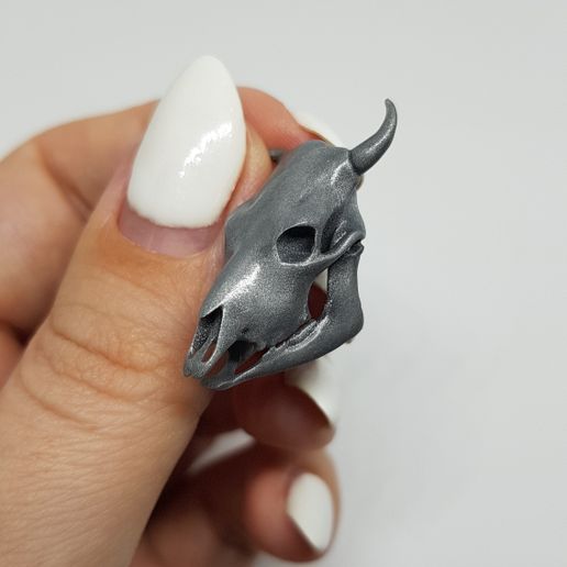 20230624_234911.jpg Coquille de vache