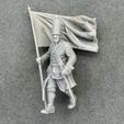 IMG_4269.jpg Carolean Standard Bearer