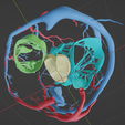 heart,-cardiac,-left,-right,-atrium,-ventricle,-coronary,-artery,-vein,-vena-cava,-aorta,-pulmonary,.png Ultra Realistic High-Resolution 3D Normal Heart Model with Aorta, Pulmonary Artery & Vein, Coronary Artery & Vein, Pulmonary & Aortic Valves, Mitral Valve, and Tricuspid Valve