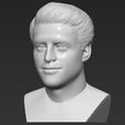 3.jpg Joey Tribbiani from Friends bust 3D printing ready stl obj formats