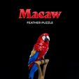 Macaw-Feather-Puzzle-thumb.jpg Macaw Feather Puzzle