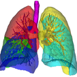 1.png 3D Model of Lungs, Vessels and Airways - generated from real patient