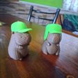 Imagen-de-WhatsApp-2025-08-23-a-las-19.51.52_72adbfee.jpg capybara with assorted helmets