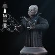 040924-StarWars-Palpatine-Bust-Image-002.jpg PALPATINE BUST - TESTED AND READY FOR 3D PRINTING