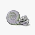 WHITE_RENDER.jpg nautilus snail