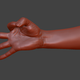 Ok_gesture_P.png hand ok gesture