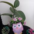 20220921_150211.jpg Owl Planter Pot