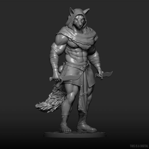 SFW5.png CAÇADOR MISTERIOSO - SFW