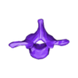 VertebralColumn31.stl Skeleton vertebral column torso bones (90 bones)