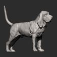 BLOODHOUND8.jpg 3D-Datei BLOODHOUND 3D-Druckmodell・Design für 3D-Drucker zum herunterladen