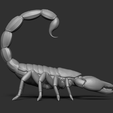 12.png Scorpion