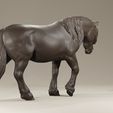 realistic-walking-frisian-horse-for-printing-farmanimal-3d-model-26cafd6fa1.jpg 高头大马弗里斯兰矮种马农场动物宠物马