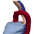 1.png 3D Model of Thoracic Organs (heart, trachea, aorta, esophagus) - generated from real patient