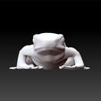 fr3.jpg Frog - realistic frog - frog toy for kids