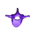 VertebralColumn23.stl Skeleton vertebral column torso bones (90 bones)