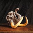 15.jpg Archivo OBJ Busto de mamut・Diseño para descargar y imprimir en 3D