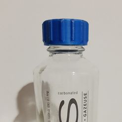 IMG_20211003_1951466662.jpg Free STL file Glass cap 425 thread (Voss 375)・3D printer design to download