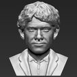 bilbo-baggins-hobbit-bust-ready-for-full-color-3d-printing-3d-model-obj-mtl-stl-wrl-wrz (21).jpg Bilbo Baggins Hobbit bust 3D printing ready stl obj