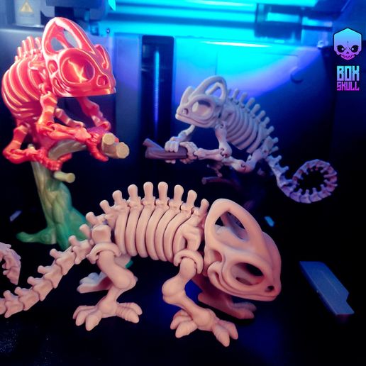 img_Chemeleon_008.jpg SKELETON CHAMELEON - ARTICULATED - PRINT-IN-PLACE - FLEXI