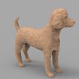 04.jpg Poodle model 3D print model