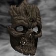 Decrepit-skull.jpg Collection of Masks