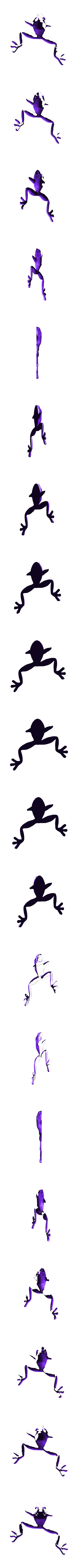 frog_top.stl Лягушка на ветках - разноцветный