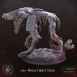 Wolfmother-Left.jpg Wolfmother