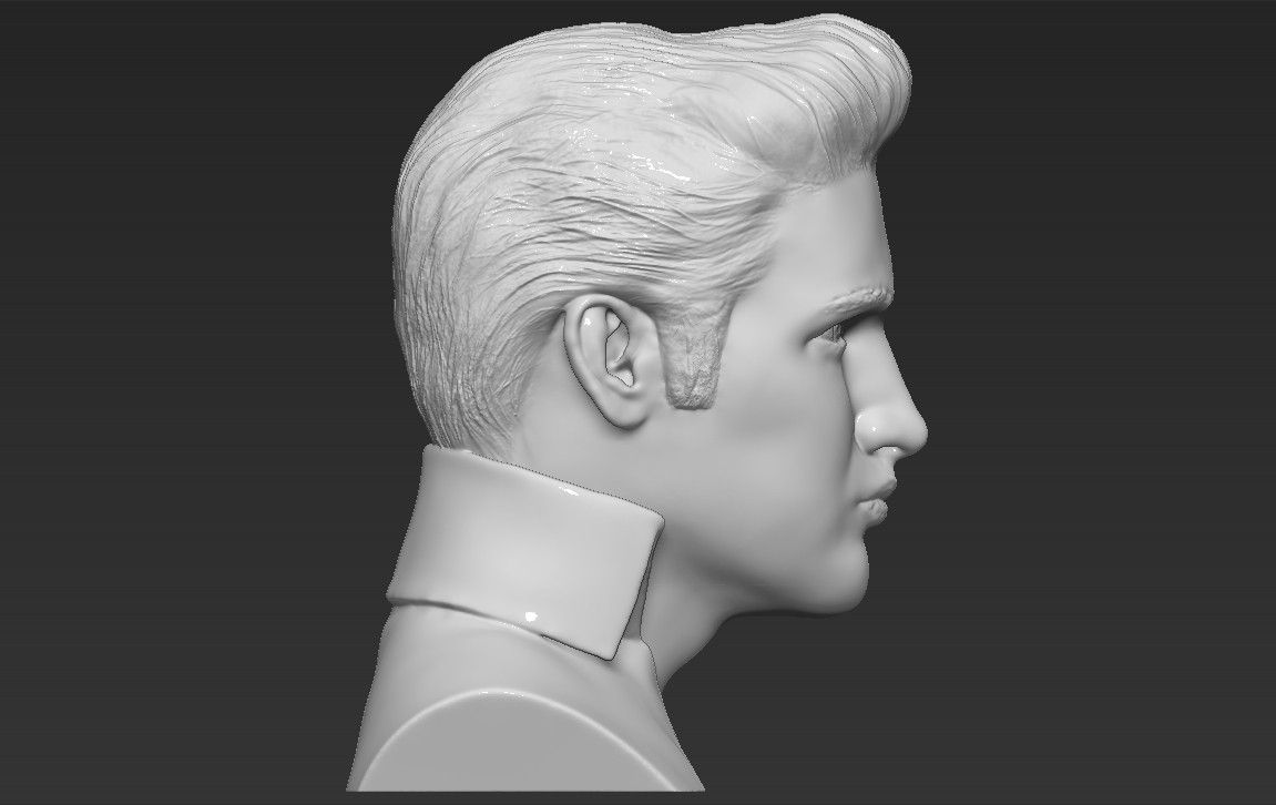8.jpg 3D file Elvis Presley bust 3D printing ready stl obj・Template to download and 3D print, PrintedReality