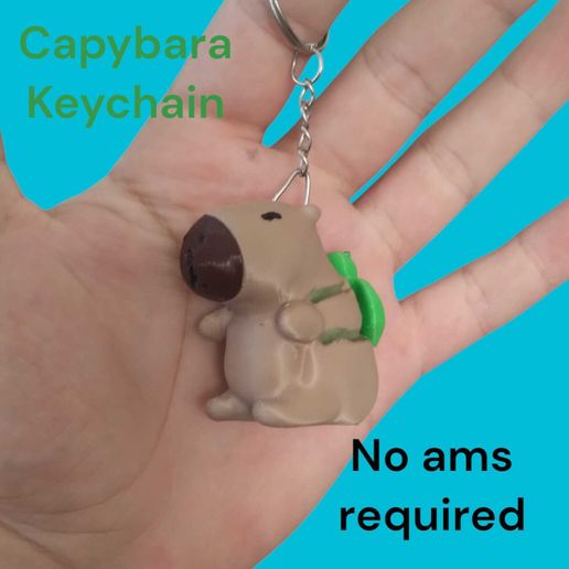 WhatsApp-Image-2025-02-17-at-22.35.00.jpeg Cute Capybara keychain keychain capybara keychain with sweet capybara turtle backpack