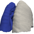 4.png 3D Model of Human Lungs - generated from real patient
