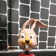 20240229_091822.jpg Bunny bobblehead without hood