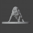gorsel_2025-12-31_054645308.png Attacking Anatolian Shepherd Dog (Kangal) - 2 version