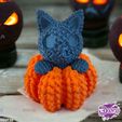 hfgdjgfhdjj-00;00;00;01-3.jpg Crocheted Cat and Pumpkin