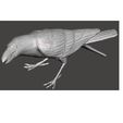 l3.jpg Fichier STL Seletti - Lampe pour oiseaux - Lampara de pajaro・Modèle pour imprimante 3D à télécharger