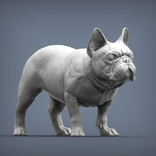 french-bulldog-8.jpg Archivo 3D Modelo de impresión en 3D de un Bulldog Francés・Objeto imprimible en 3D para descargar, akuzmenko