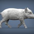 small-boar5.jpg Small boar 3D print model