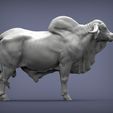 Gyr-Bull4.jpg Gyr Bull 3D print model