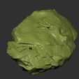 Compy en partes 02.jpg Fichier 3D Compsognathus corps entier - Jurassic Park・Objet pour impression 3D à télécharger