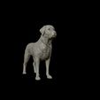 22.jpg Labrador Retriever model 3D print model
