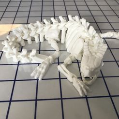 SkeletonDragon2.jpg Free STL file Articulated Skeleton Dragon・3D print design to download