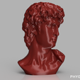 DAVID_02.png Parametric Head of David Digital File Package for 3D Printing/CNC/Laser