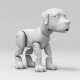 pes_eshop-5.jpg Dog 3D model