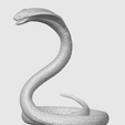 Captura-de-pantalla-2026-02-24-113615.png SNAKE COBRA