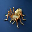DSC_3210.JPG Fichier STL gratuit Skully the spider・Design pour imprimante 3D à télécharger