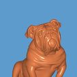 1000119863.jpg English Bulldog