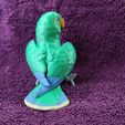 IMG_20250312_172606498.jpg Eclectus
