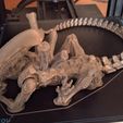 1638424665035-002.jpg Файл STL Артикулированный Ксеноморф・Идея 3D-печати для скачивания