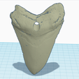 Screenshot-2023-02-21-at-18.17.01.png Megalodon tooth pendent