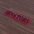 SenatorsName.png Ottawa Senators Keychain